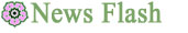 news-flash
